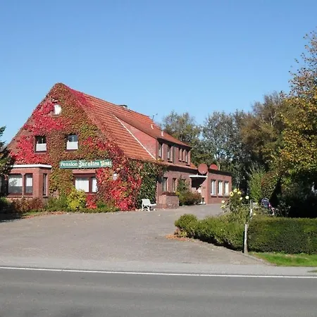 Gaestehaus-zur-alten-post-wohnung-west Apartment